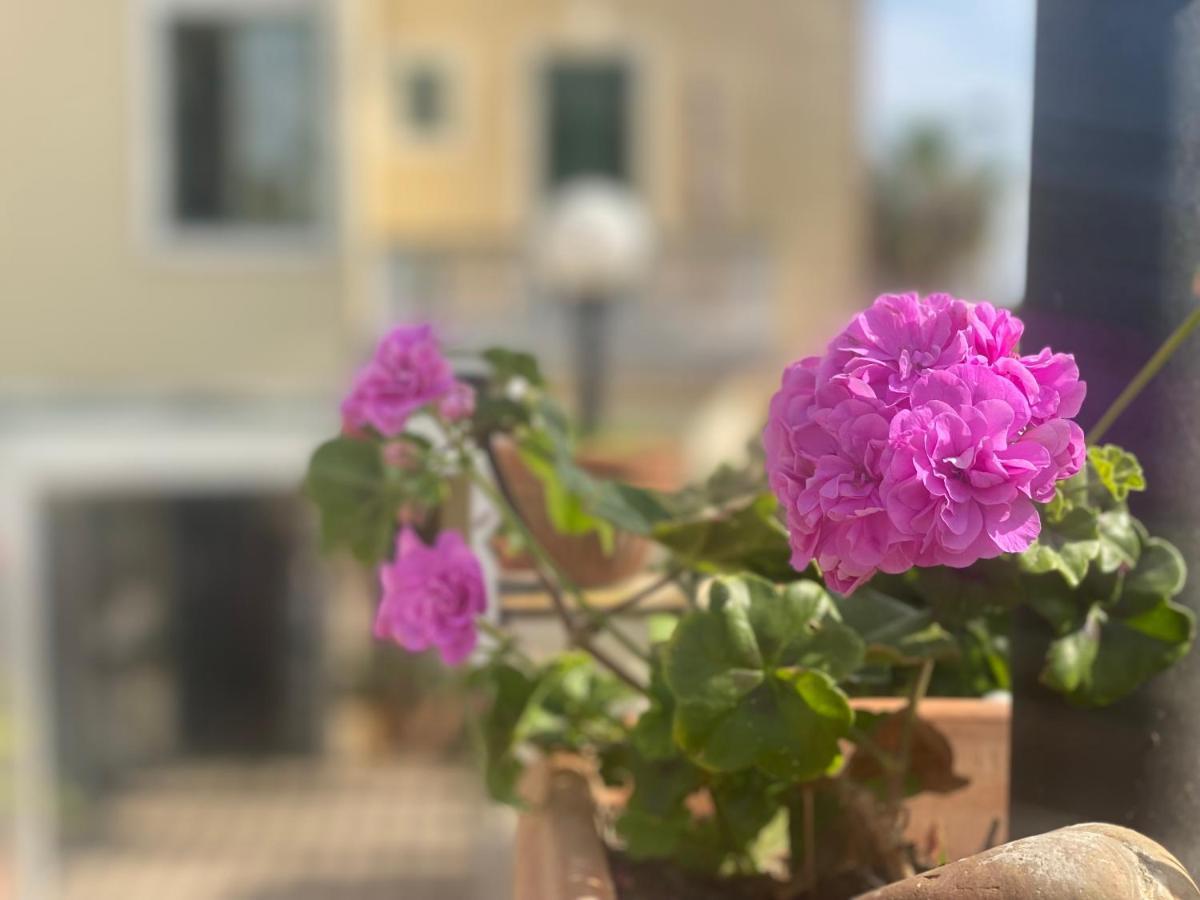 Villino Gregoraci Relais Bed and Breakfast Santa Marinella Eksteriør billede